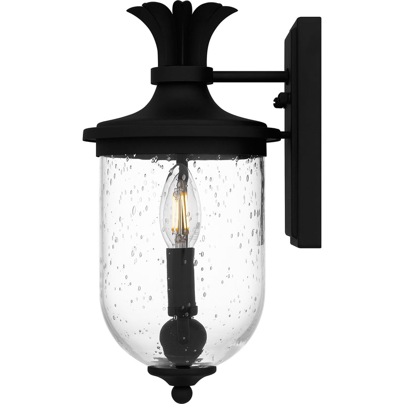 Quoizel Havana 13in 2-Light Outdoor Wall Lantern | Coastal Earth Black and Clear Seedy Glass | Front Porch & Patio | Model HVN8406EK