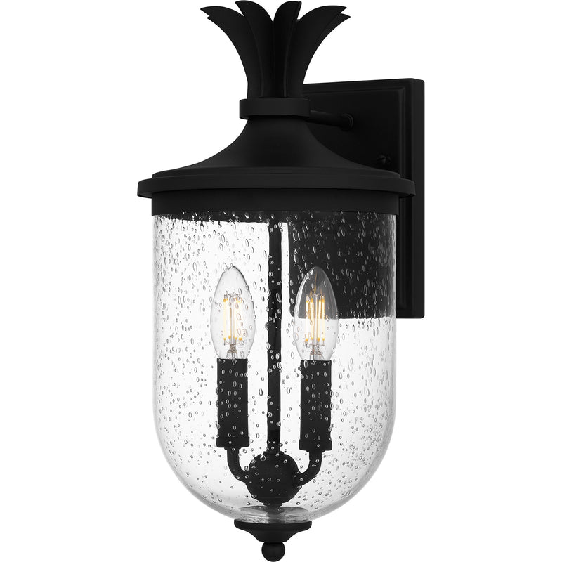 Quoizel Havana 16in 2-Light Outdoor Wall Lantern | Coastal Earth Black and Clear Seedy Glass | Front Porch & Patio | Model HVN8408EK
