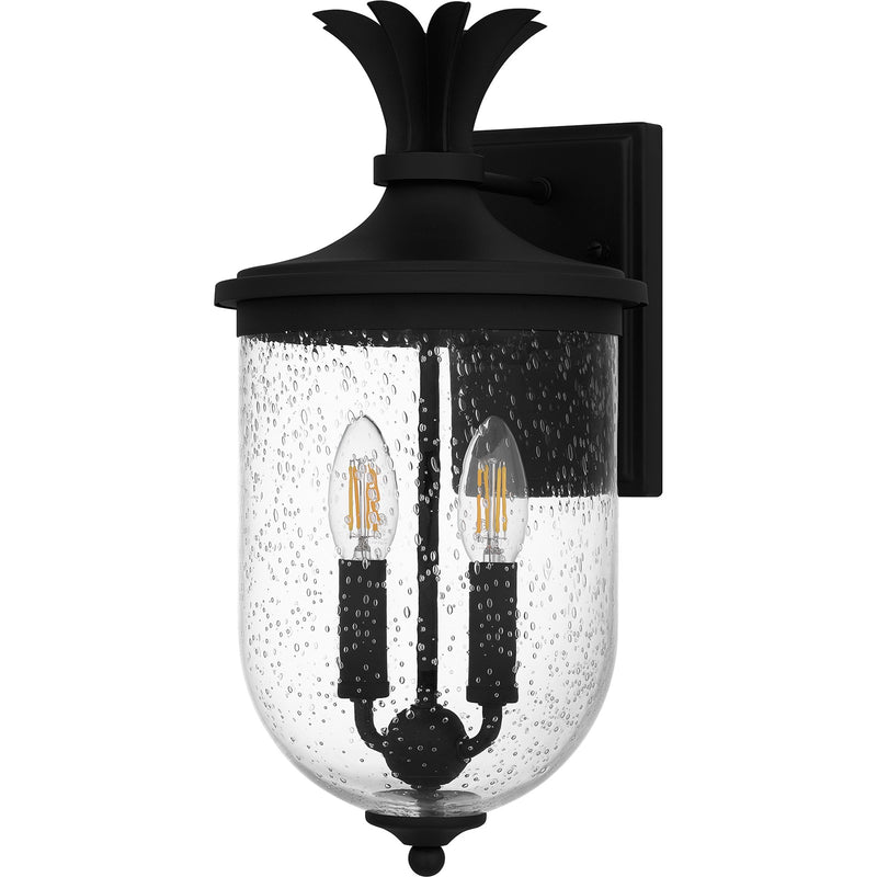Quoizel Havana 16in 2-Light Outdoor Wall Lantern | Coastal Earth Black and Clear Seedy Glass | Front Porch & Patio | Model HVN8408EK
