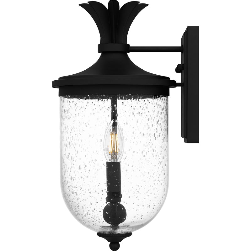 Quoizel Havana 16in 2-Light Outdoor Wall Lantern | Coastal Earth Black and Clear Seedy Glass | Front Porch & Patio | Model HVN8408EK