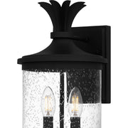 Quoizel Havana 16in 2-Light Outdoor Wall Lantern | Coastal Earth Black and Clear Seedy Glass | Front Porch & Patio | Model HVN8408EK