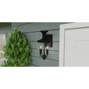 Quoizel Havana 16in 2-Light Outdoor Wall Lantern | Coastal Earth Black and Clear Seedy Glass | Front Porch & Patio | Model HVN8408EK