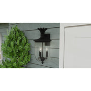 Quoizel Havana 20in 3-Light Outdoor Wall Lantern | Coastal Earth Black and Clear Seedy Glass | Front Porch & Patio | Model HVN8410EK