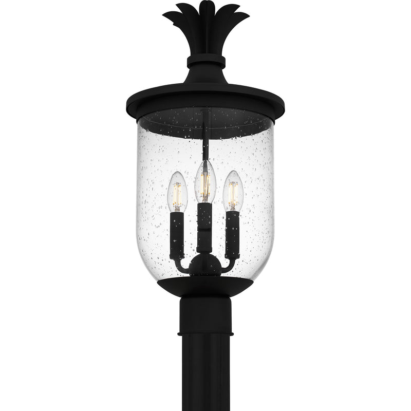 Quoizel Havana 10in 3-Light Outdoor Lantern | Coastal Earth Black and Clear Seedy Glass | Front Porch & Entryway | Model HVN9010EK