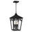 Quoizel Jaxon 4-Lt Western Brz Outdoor Hanging Lantern, Western Brz - JAX1910WT