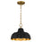 Quoizel Leanne 1-Lt Matte Black Pendant, Matte Black - LEA1812MBK