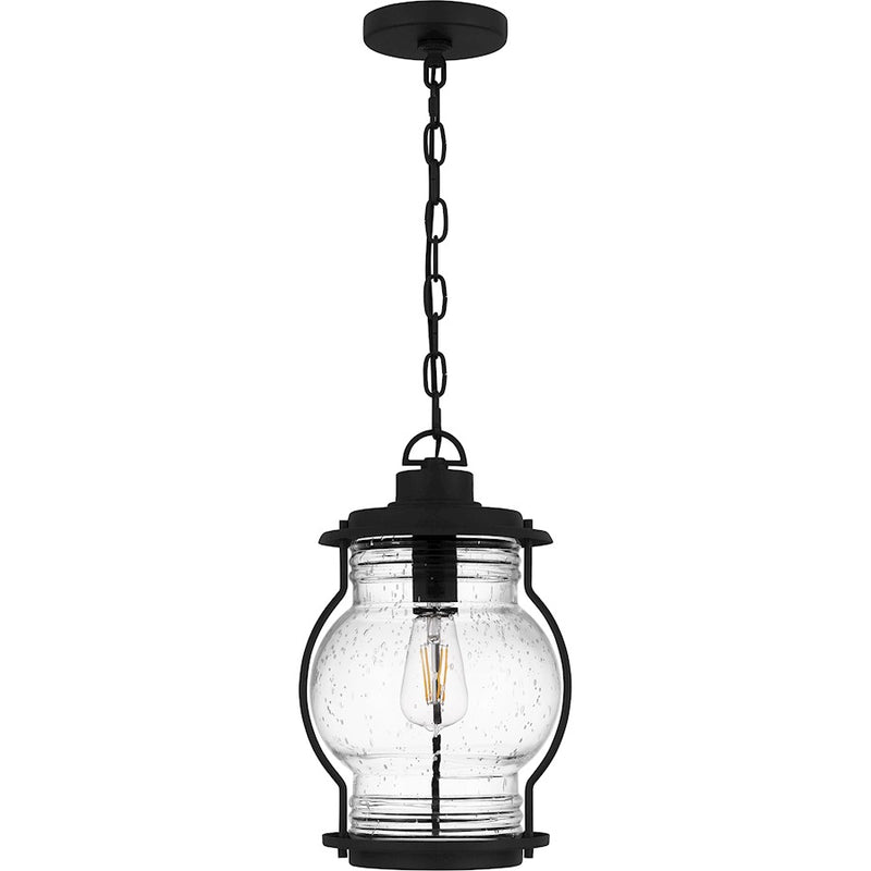 Quoizel Luther 1Lt Outdoor Hanging Lantern, Black/Clear Seedy Glass