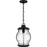 Quoizel Luther 1Lt Outdoor Hanging Lantern, Black/Clear Seedy Glass