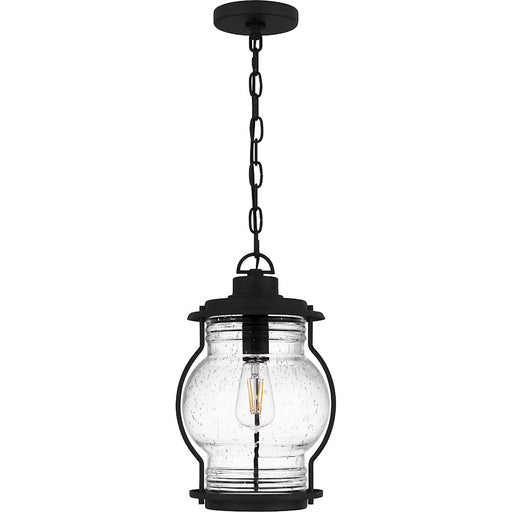 Quoizel Luther 1Lt Outdoor Hanging Lantern, Black/Clear Seedy Glass