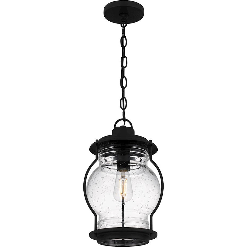 Quoizel Luther 1Lt Outdoor Hanging Lantern, Black/Clear Seedy Glass