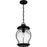 Quoizel Luther 1Lt Outdoor Hanging Lantern, Black/Clear Seedy Glass