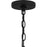 Quoizel Luther 1Lt Outdoor Hanging Lantern, Black/Clear Seedy Glass