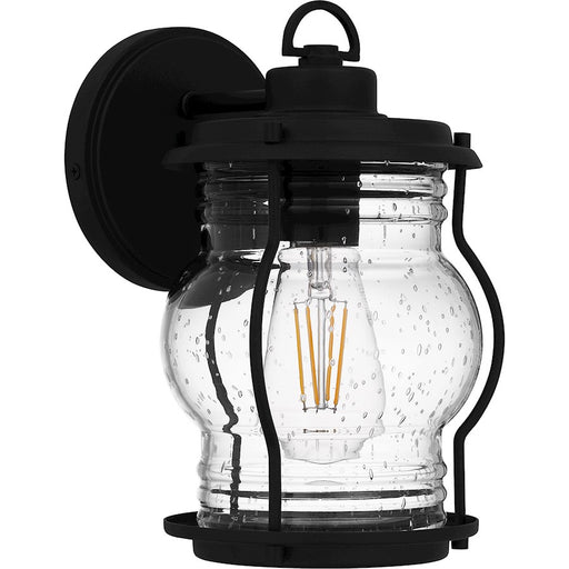 Quoizel Luther 1 Light 10" Outdoor Lantern, Black/Clear Seedy Glass