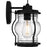Quoizel Luther 1 Light 10" Outdoor Lantern, Black/Clear Seedy Glass