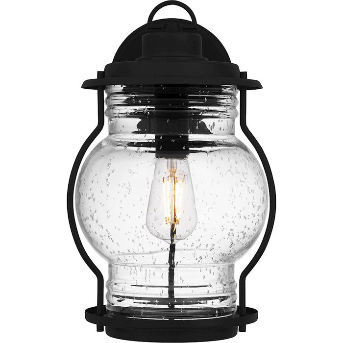 Quoizel Luther 1 Light 15" Outdoor Lantern, Black/Clear Seedy Glass