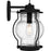 Quoizel Luther 1 Light 15" Outdoor Lantern, Black/Clear Seedy Glass