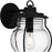 Quoizel Luther 1 Light 15" Outdoor Lantern, Black/Clear Seedy Glass