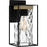 Quoizel Longwood 1 Light Outdoor Lantern, Black/Clear Hammered
