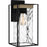Quoizel Longwood 1 Light Outdoor Lantern, Black/Clear Hammered