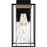 Quoizel Longwood 1 Light Outdoor Lantern, Black/Clear Hammered