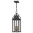 Quoizel Manning 3 Light Outdoor Hanging Lantern, Western Bronze