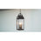Quoizel Manning 3 Light Outdoor Hanging Lantern, Western Bronze
