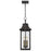 Quoizel Manning 3 Light Outdoor Hanging Lantern, Western Bronze