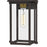Quoizel Manning 1 Light Outdoor Wall Lantern, Western Bronze