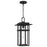 Quoizel Morgan 1-Lt 10" Outdoor Hanging Lantern, Earth Bk/Beveled - MORG1910EK