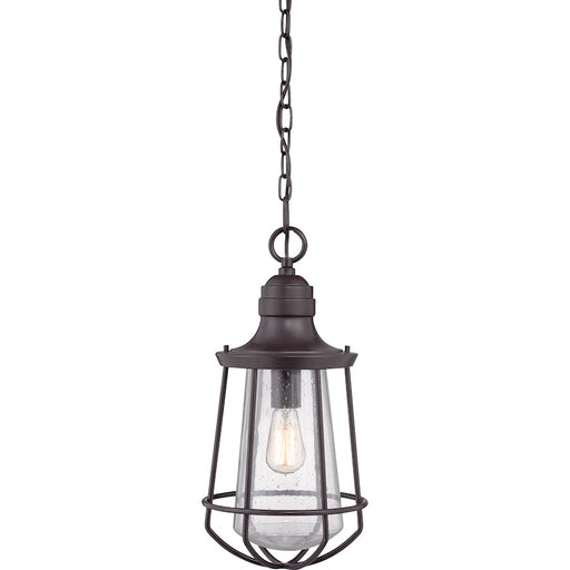 Quoizel Marine 1 Light Mini Pendant, Bronze/Clear Seeded