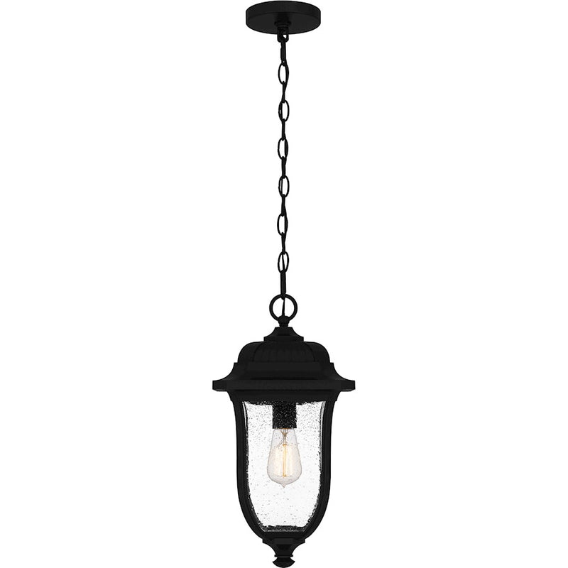 Quoizel Mulberry 1 Light 18" Outdoor Lantern, Black/Clear Seedy
