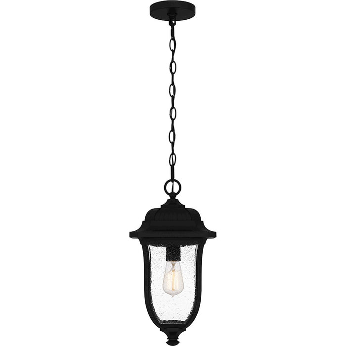 Quoizel Mulberry 1 Light 18" Outdoor Lantern, Black/Clear Seedy