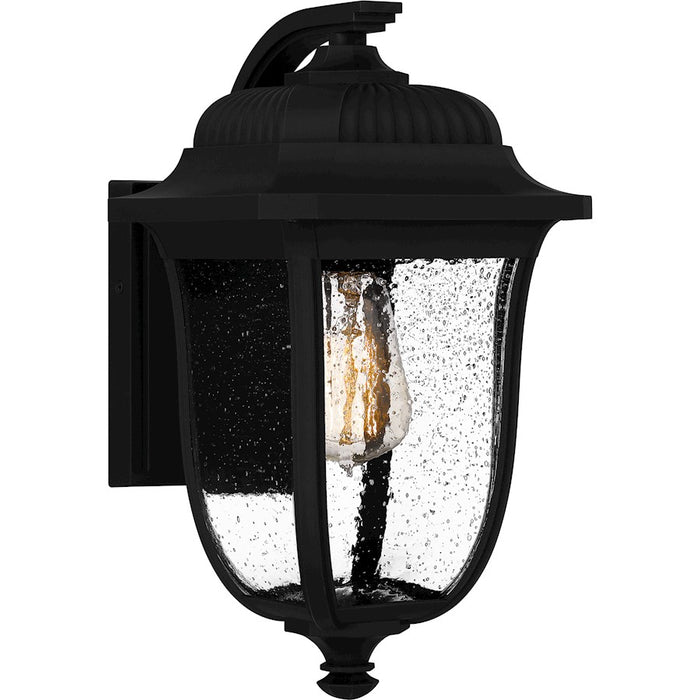Quoizel Mulberry 1 Light Outdoor Lantern, Black/Clear Seedy