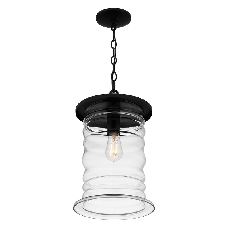 Quoizel Noland 10in 1-Light Mini Pendant | Coastal Matte Black and Clear Glass | Kitchen Island & Dining Room | 10 x 10 x 17 in | Model NAD1510MBK