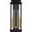 Quoizel Noelle 4Lt Outdoor Lantern, Black/Clear/Clear Panel Side