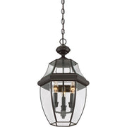 Quoizel Newbury 21in 3-Light Outdoor Lantern | Classic Medici Bronze Brass and Clear Beveled Glass | Front Door & Porch | Model NY1179Z