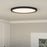 Quoizel Outskirts Flush Mount, Earth Black