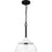 Quoizel Otten 1 Light Mini Pendant, Matte Black/Clear Seedy