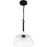 Quoizel Otten 1 Light Mini Pendant, Matte Black/Clear Seedy