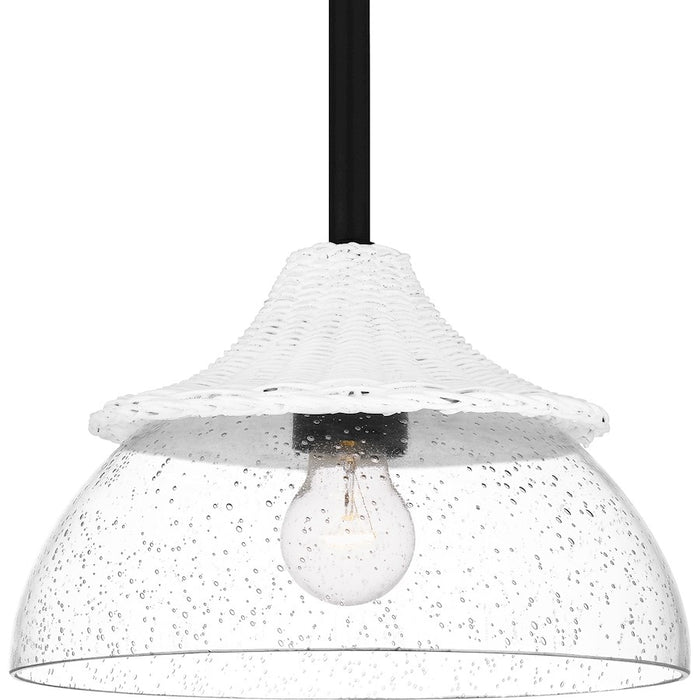 Quoizel Otten 1 Light Mini Pendant, Matte Black/Clear Seedy