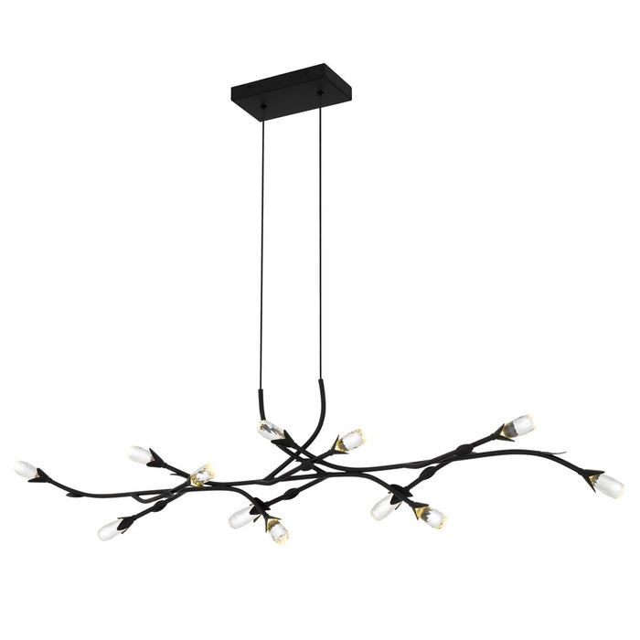 Quoizel Cora Integrated LED Matte Black Island Light, Matte Black - PCCOR1250MBK