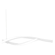 QZPCNPT138W-6.jpg