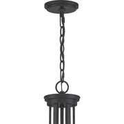 Quoizel Pruitt 9 Light Chandelier, Matte Black/Clear