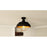 Quoizel Darmody 1 Light Semi-Flush Mount, Metal
