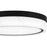 Quoizel Gasper Light Flush Mount, Matte Black/Alabaster Glass