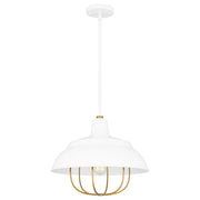 Quoizel Darmody 1 Light Pendant, White Lustre/Metal Shade