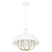 Quoizel Darmody 1 Light Pendant, White Lustre/Metal Shade