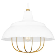 Quoizel Darmody 1 Light Pendant, White Lustre/Metal Shade
