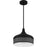 Quoizel Keagan 1 Light Pendant, Matte Black/Metal