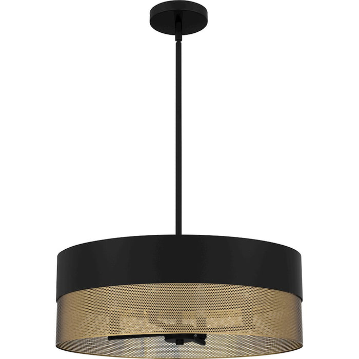 Quoizel Alani 4 Light Pendant, Matte Black/Metal